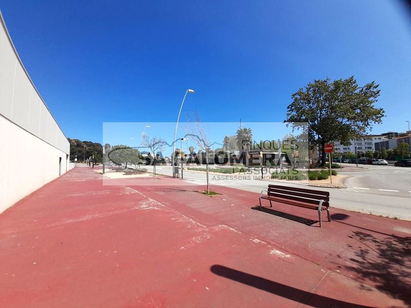 Foto 88481482-31ff-4425-b09a-8043a4dd7809. Pis a La plantera Blanes