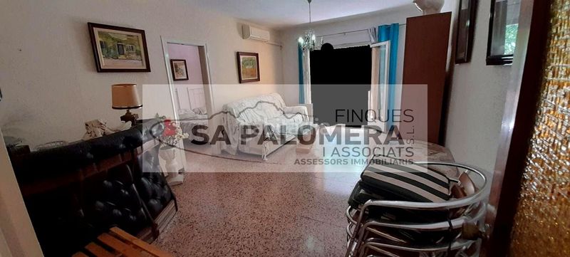 Foto cfd8e3c2-82a0-43ac-b15a-39a937bdd367. Pis a La plantera Blanes