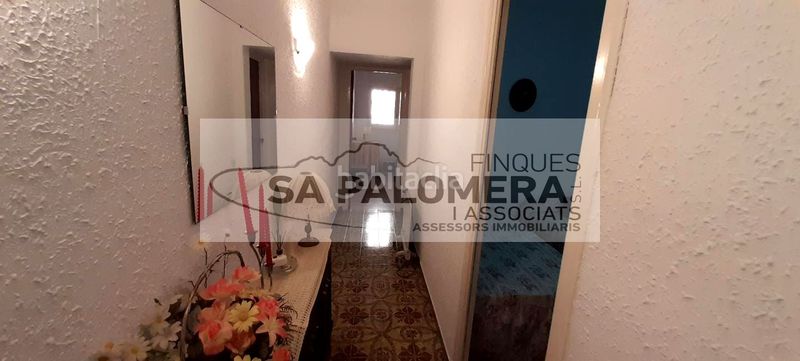 Foto ffa42ee5-cc7f-4113-9751-9c4659ba5c47. Pis a La plantera Blanes