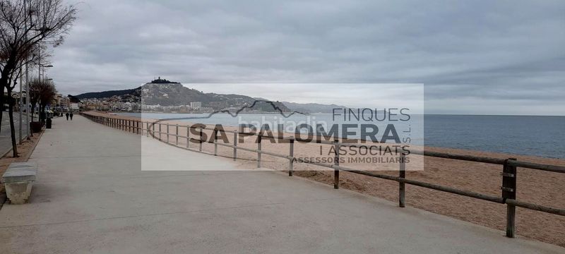 Foto 52ba696a-4eb5-4215-a142-36d4d3ba5b28. Pis amb piscina a Els Pins Blanes