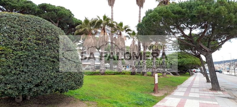 Foto 6cdf0fd4-f58d-45ee-8a82-6082a23c9a05. Pis amb piscina a Els Pins Blanes