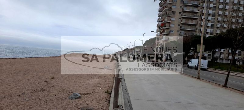 Foto 89f4179f-225f-4420-9672-d9f681e6029c. Pis amb piscina a Els Pins Blanes