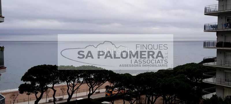 Foto 98bc3711-e5cb-4030-a89e-3b257e2300fa. Pis amb piscina a Els Pins Blanes