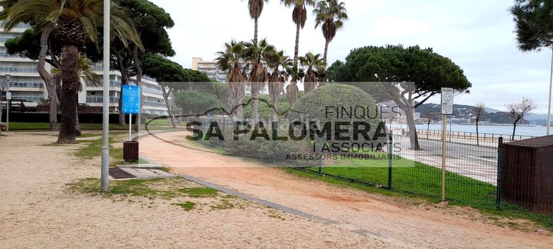 Foto a7a5760f-7107-4106-9018-c96700eafd33. Pis amb piscina a Els Pins Blanes