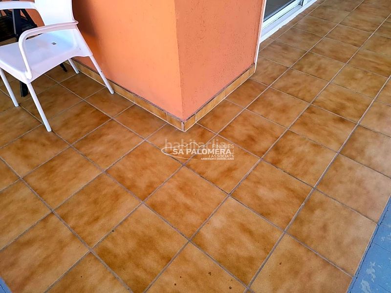 Foto 1b0e8bed-cf8e-4e74-ab9a-14915c9b1642. Pis a Els Pins Blanes