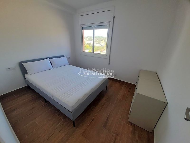 Foto ddad3531-56f1-4645-b0fa-52cee5688662. Pis a Els Pins Blanes