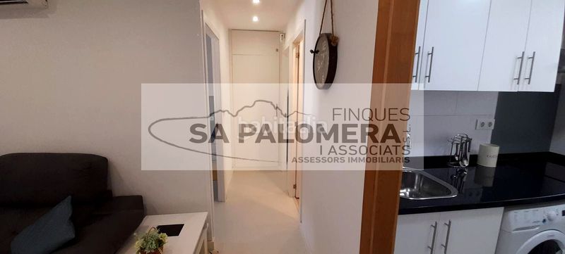 Foto 0e356458-1807-4e9e-ab64-5c1cceca126b. Pis a La plantera Blanes