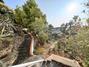 Ampliar foto fd997bc0-460f-445c-8c98-8adcbd3d367d.jpg