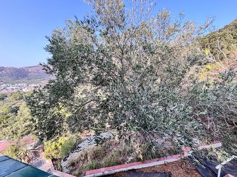 Foto 2ef977a7-032f-466b-ba01-c1591766a171. Chalet casa reformada con magníficas vistas en plena naturaleza un lugar único para vivir! en Roses