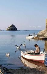 Finca rústica a Cadaqués. Oportunidad única! terreno en venta en cadaqués  costa brava