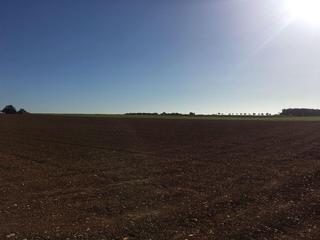 Finca rústica a Carrer nou 100. Lote de terrenos agrícolas en ciurana