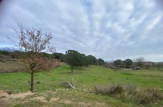 Rural plot  Las clossas. Terreno rural en ubicación privilegiada  10.696 m entre roses, p