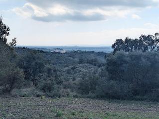 Propriété à El mon perdut. Oportunidad única terreno rústico de 32.000 m2 en un entorno nat