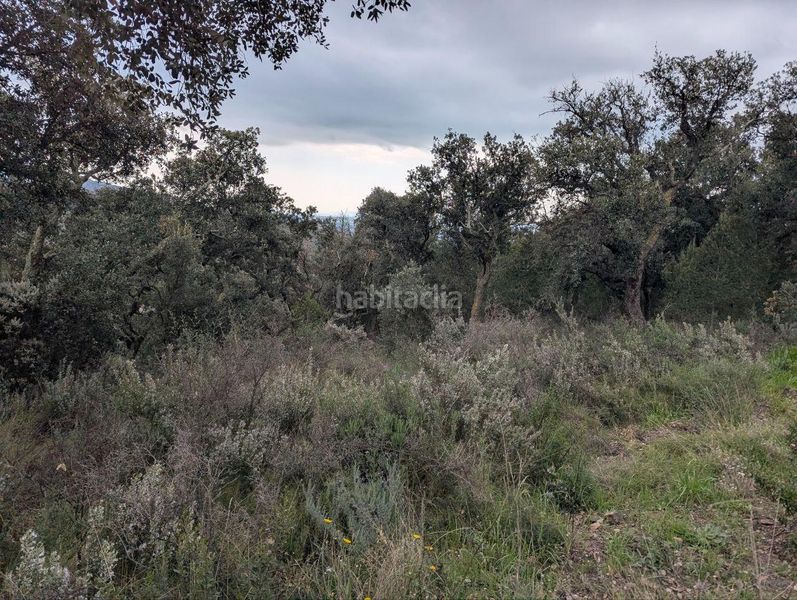 Foto 55a10de8-8e6d-4bfc-9548-0853465ef0f9. Finca rústica a el mon perdut a Garriguella