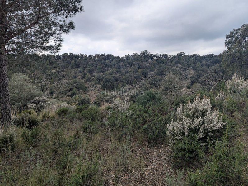 Foto ba2230ea-8bbb-4ed0-8015-458ee75b53c3. Finca rústica a el mon perdut a Garriguella