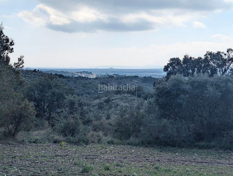 Foto c626d888-c1d7-406d-8d5d-9e243d340765. Finca rústica a el mon perdut a Garriguella