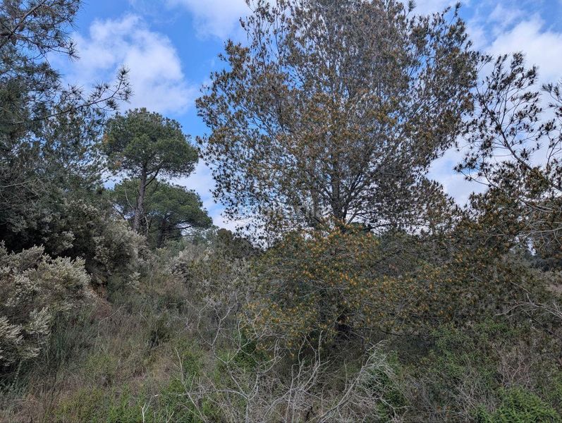 Foto c9533b86-53d6-4536-8618-7a30e466c8ce. Finca rústica a el mon perdut a Garriguella