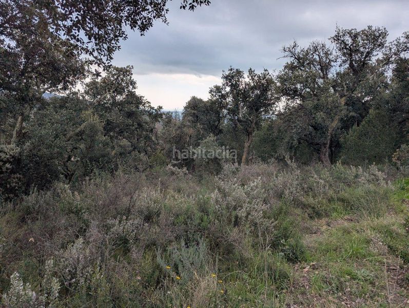 Foto fe23b9c0-f97c-4edc-b247-8938a691db40. Finca rústica a el mon perdut a Garriguella