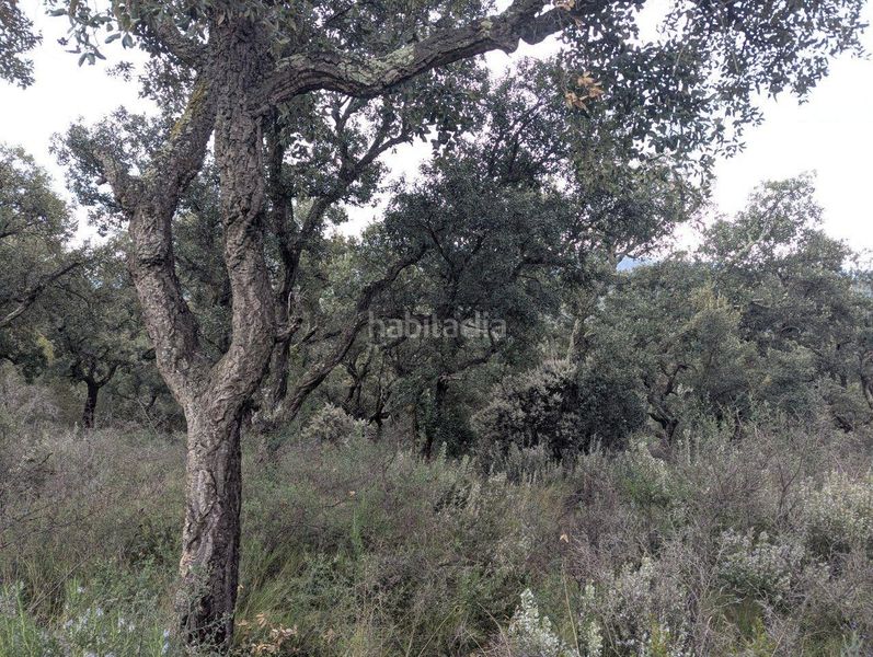 Foto fe73eadb-f4d1-4904-93f9-28734493333e. Finca rústica a el mon perdut a Garriguella