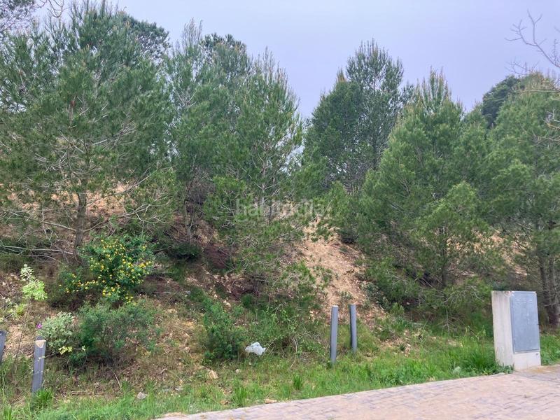 Foto ccd7ea5a-af6c-4b71-83f3-e3ec8573a239. Terreno residenziale in Eixample Residencial Escala (L´)