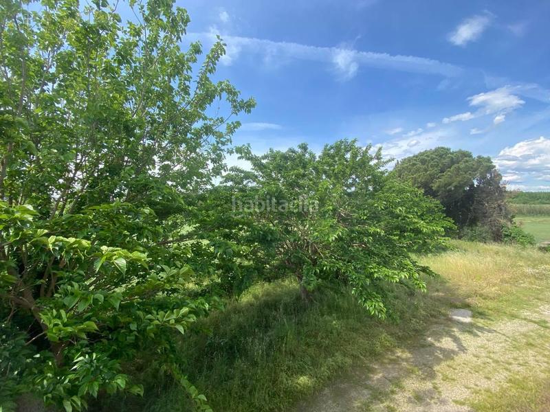 Foto aea3b208-8726-4957-9d23-b6940a2e53df. Xalet amb aparcament a Cabanes