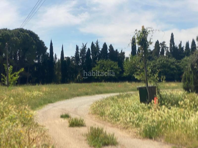 Foto c0c52a05-b3d7-4872-80c9-1307da0eba49. Xalet amb aparcament a Cabanes