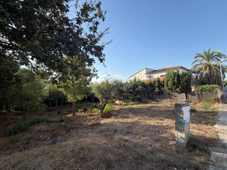 Terreny residencial a De l'eucaliptus 40. Parcela urbana de 423m2 en zona tranquila de roses  ideal para c