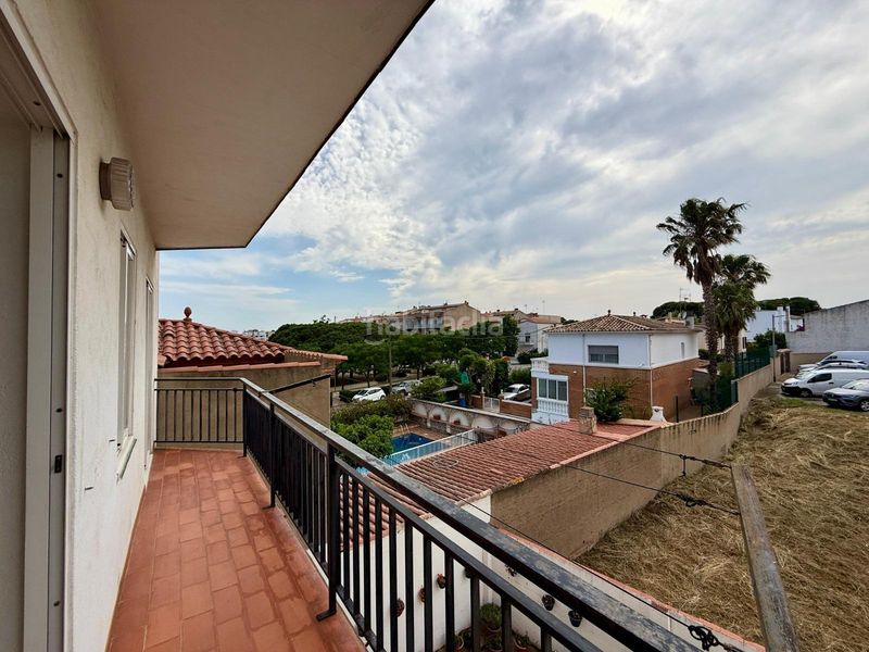 Foto a9c10a48-e04b-4862-8351-e63ca2acf512. Pis a Nord Roses