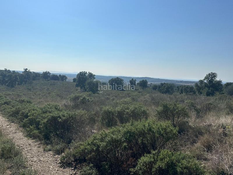 Foto 8c88d752-d4b2-4167-92b1-7284f770cddd. Propriété dans Rabós 0 dans Rabós