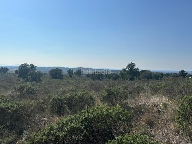 Foto 932705e8-fe4b-4ca4-99f5-d44f861152b2. Propriété dans Rabós 0 dans Rabós