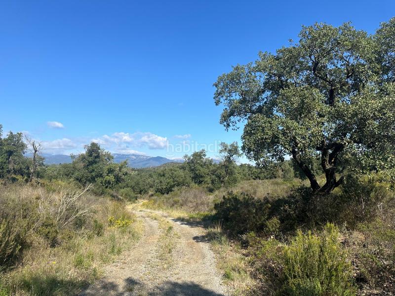 Foto a84d0364-0244-4a58-85dc-86b2382b9f5b. Propriété dans Rabós 0 dans Rabós