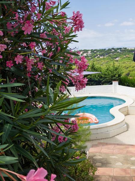 Foto e4af448a-0a10-453d-8b10-dc1f36ca21d6. Maison avec parking piscine dans Montgó Escala (L´)