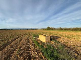 Finca rústica  Garriguella. Terreno rústico de 23.000 m en garriguella  un entorno natural ú