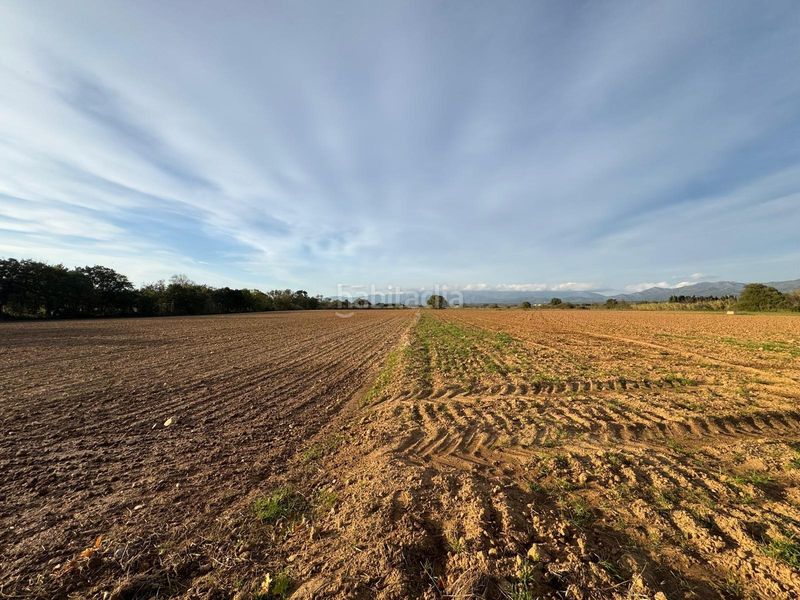 Foto a8426784-553c-4076-8cfa-d0f489be8591. Finca rústica a Garriguella