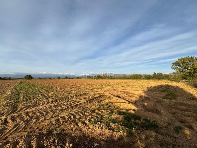Foto a89a650c-a873-4071-9ecb-5f2a17bf27bb. Finca rústica a Garriguella