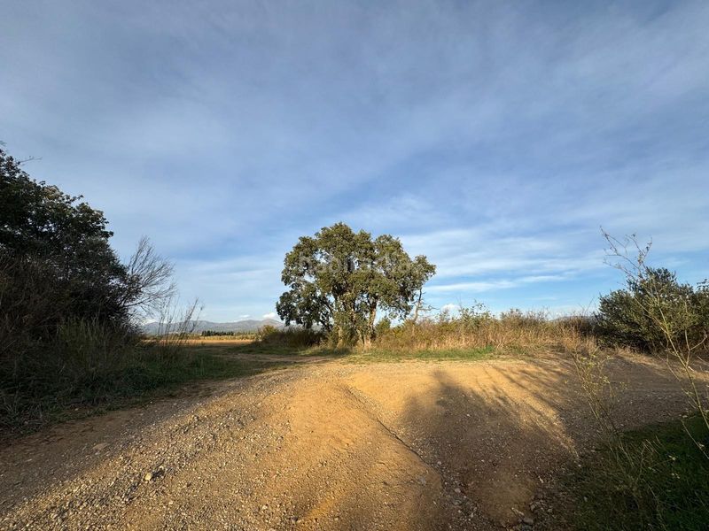 Foto b050c70e-41fe-4ca4-b46e-9aed51d0d240. Finca rústica a Garriguella