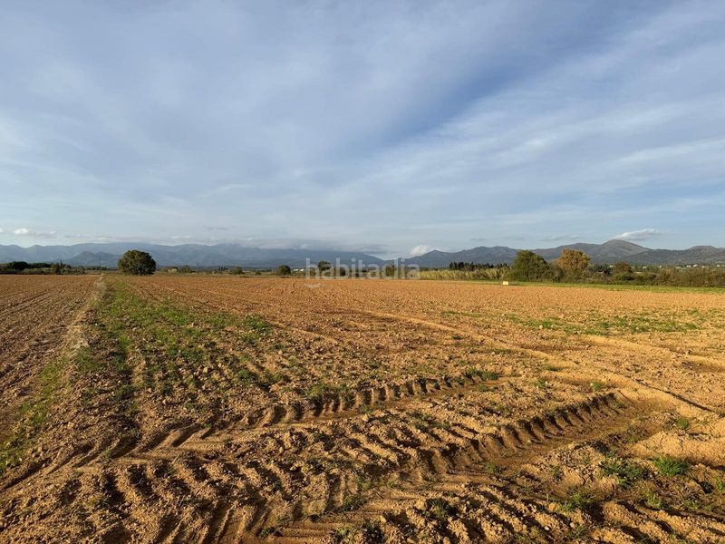 Foto e279c3ad-b264-44a9-aeb7-cce481b7e198. Finca rústica a Garriguella