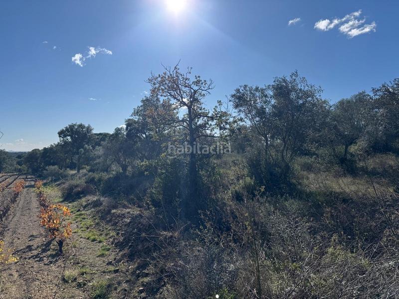 Foto 3bb0dc88-66e2-4716-a655-63a653ce99a8. Landgut in Rabós