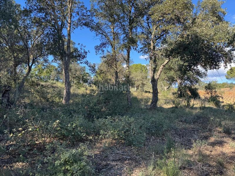 Foto 568184f1-7cf1-4cdb-ab6a-cde28829ff0a. Landgut in Rabós