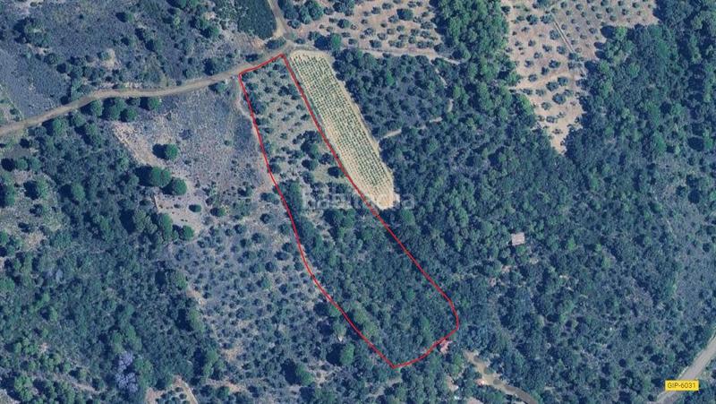 Foto 609dd429-99b8-4685-95b9-b40dc1ecc2a3. Landgut in Rabós