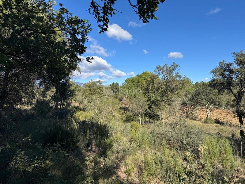 Foto 697d5c7c-5c3c-4eae-b750-fe370ec5a998. Landgut in Rabós