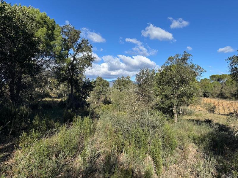 Foto ac614d9b-a614-4750-9b36-a07b025e4cf5. Landgut in Rabós