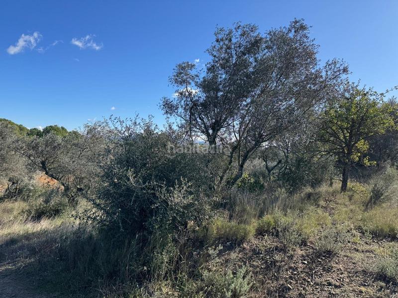 Foto c4a2ba3a-7d9f-483e-8df4-25e97d95410d. Landgut in Rabós