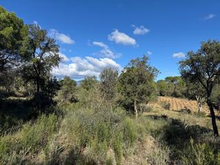 Finca rústica  Rabós. Terreno rústico de más de 11.000 m con olivos en rabós