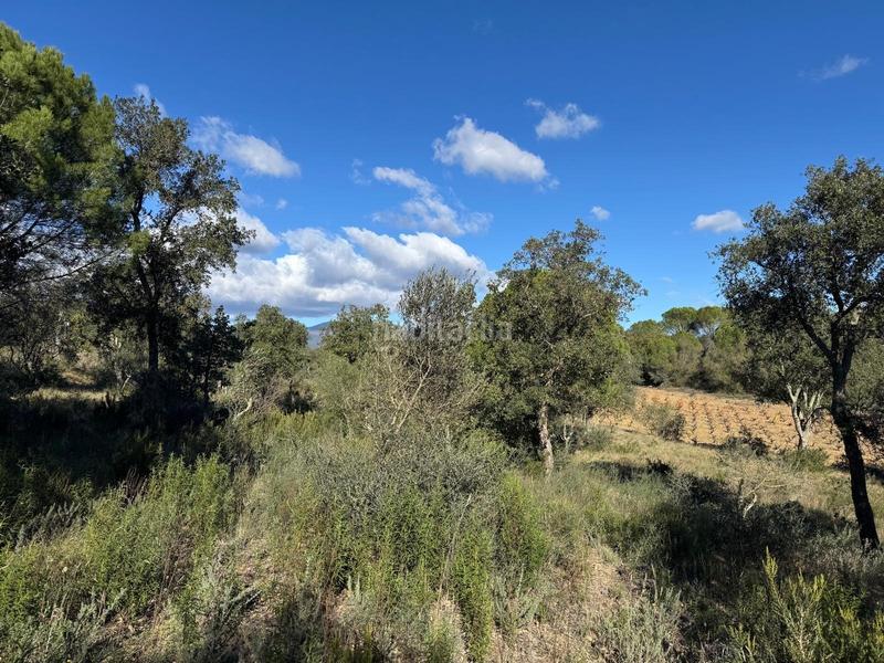 Foto e625e45a-a8db-44f4-becc-73918d6fcae6. Landgut in Rabós