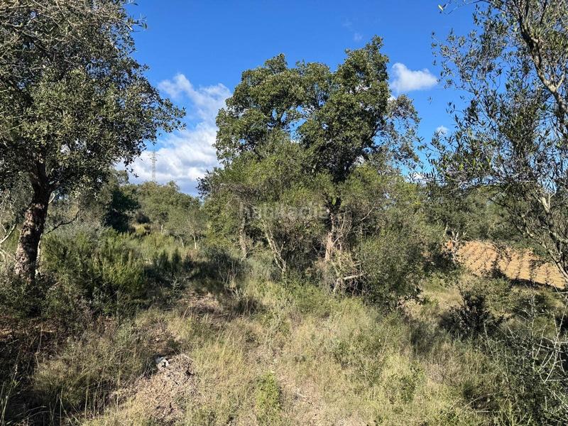 Foto ed20dd29-6b85-4ff6-ba4c-9da2b389cc25. Landgut in Rabós