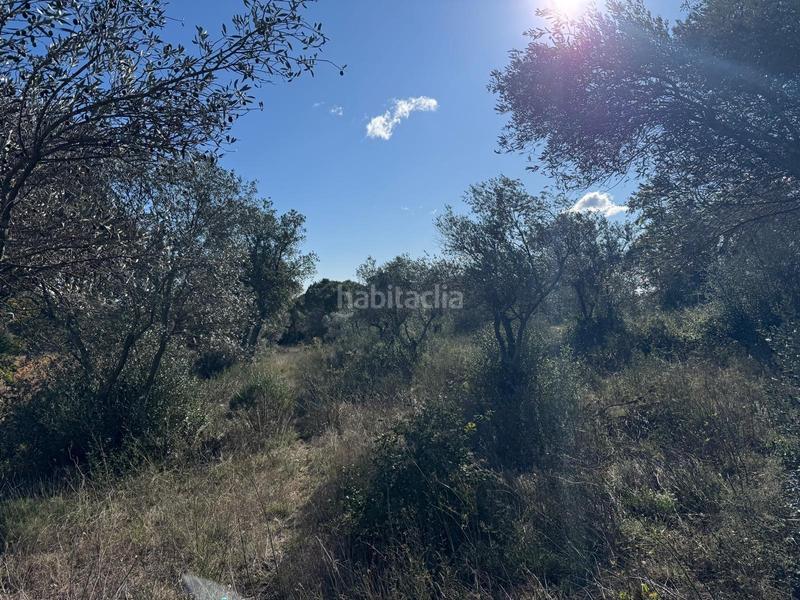 Foto f249f486-c9b6-4d77-aec1-35df021f1032. Landgut in Rabós