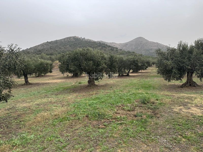 Foto 477ece4c-dc51-46a5-a195-553d9833be56. Finca rústica a Centre Roses