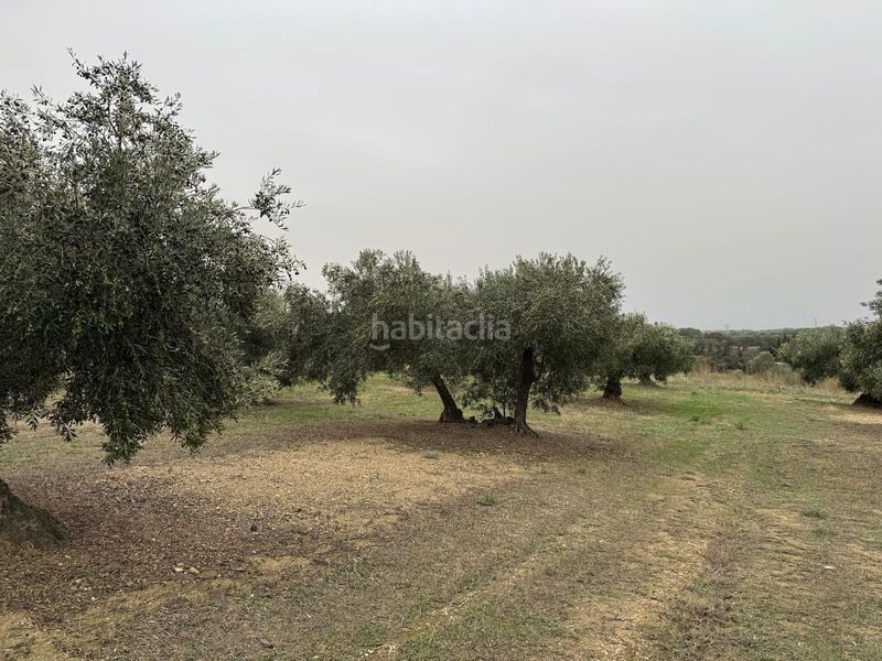 Foto 4ad56c22-6548-498a-95ac-a2f188684e18. Finca rústica a Centre Roses
