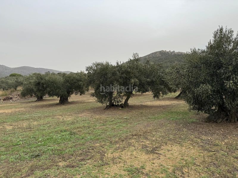 Foto a7e49024-e20e-40a9-825f-c5c8cb9ad92d. Finca rústica a Centre Roses